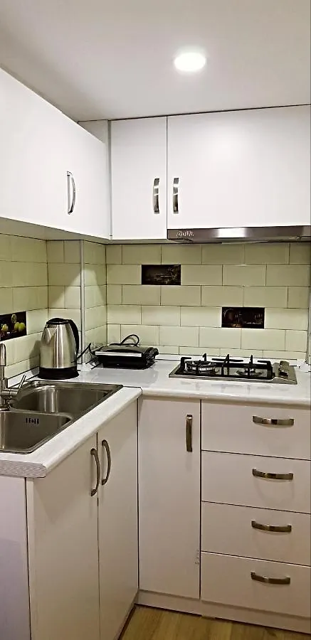 Bright And Cozy Apartment On Aghmashenebeli Avenue Tbiliszi Grúzia